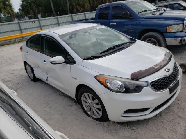 Kia Forte lx (2016)