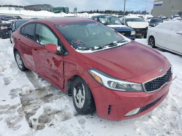 Kia Forte lx (2017)