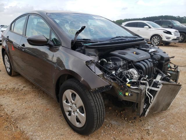 Kia Forte lx (2017)