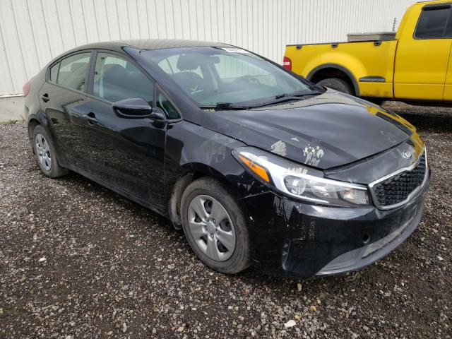Kia Forte lx (2018)