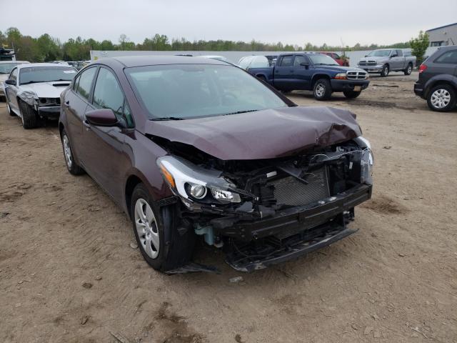 Kia Forte lx (2017)