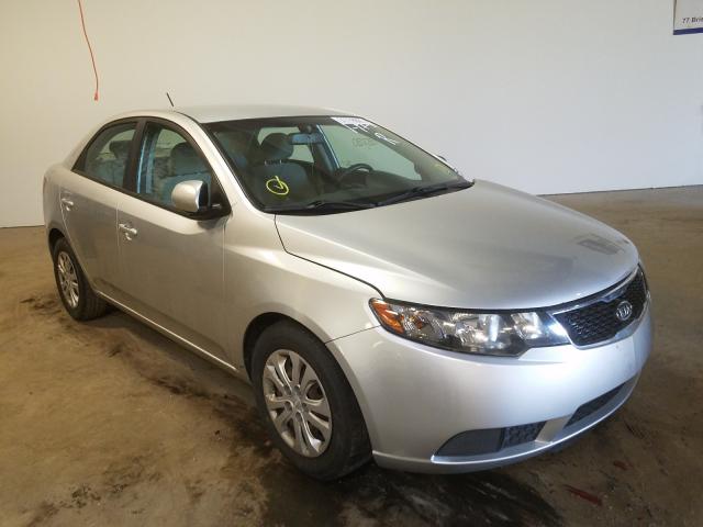 Kia Forte lx (2013)