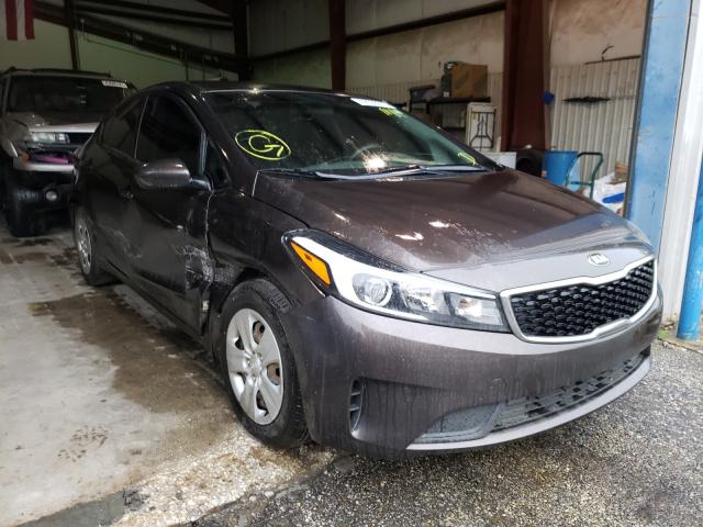 Kia Forte lx (2017)
