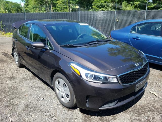 Kia Forte lx (2018)