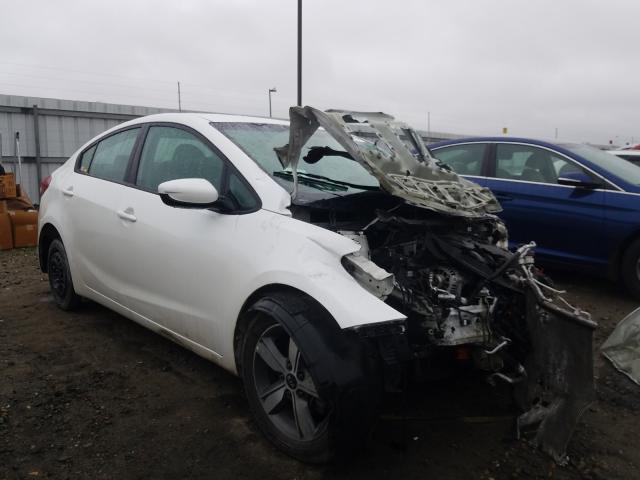 Kia Forte lx (2018)