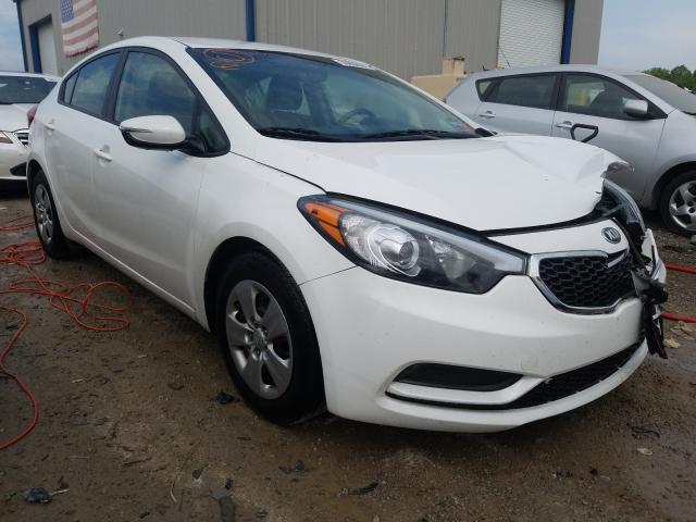 Kia Forte lx (2015)