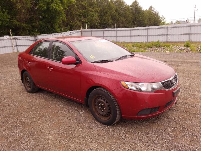 Kia Forte lx (2011)