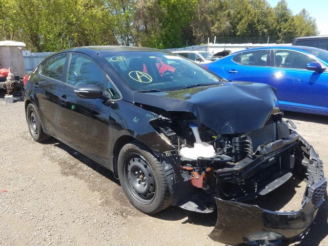 Kia Forte lx (2015)