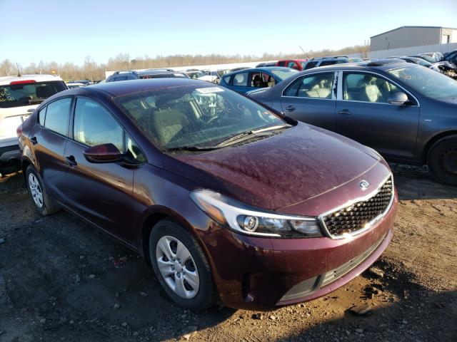 Kia Forte lx (2017)