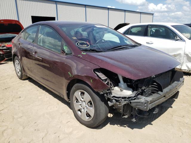 Kia Forte lx (2018)