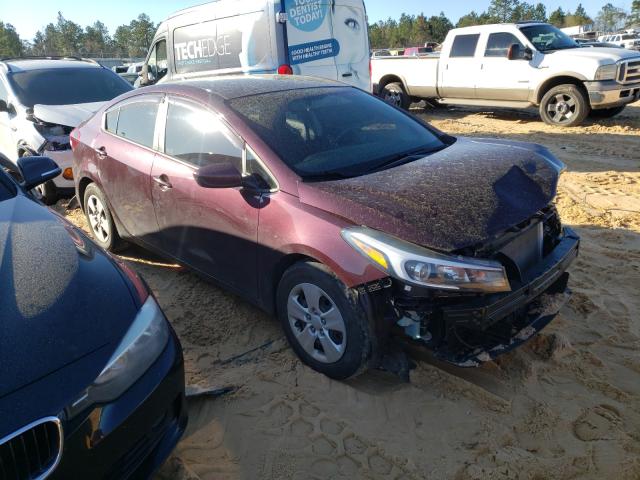 Kia Forte lx (2018)