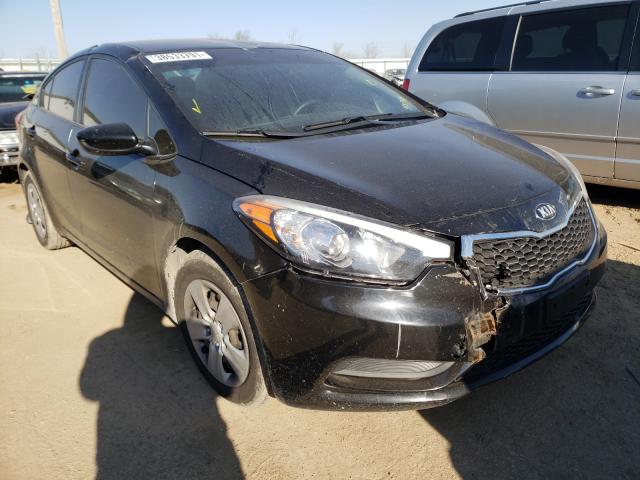 Kia Forte lx (2016)