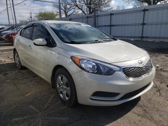 Kia Forte lx (2015)