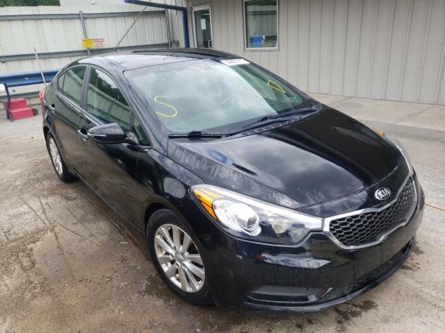Kia Forte lx (2015)