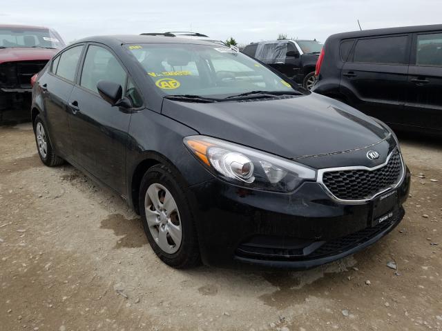 Kia Forte lx (2016)