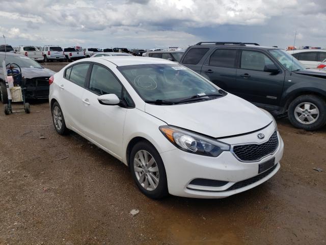Kia Forte lx (2016)