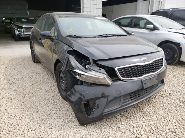 Kia Forte lx (2017)