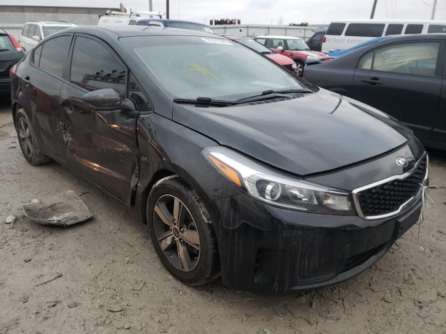 Kia Forte lx (2018)