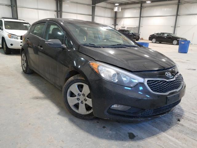 Kia Forte lx (2016)