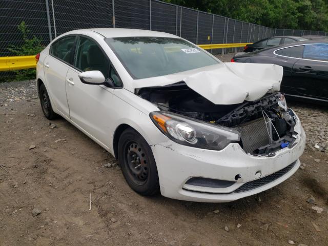 Kia Forte lx (2015)