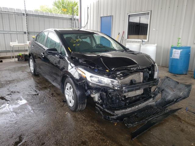 Kia Forte lx (2017)
