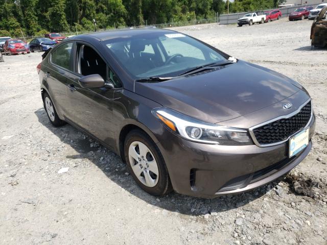 Kia Forte lx (2018)