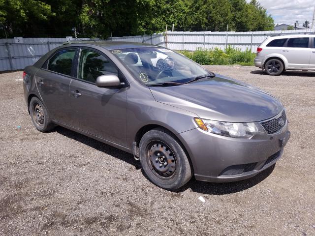 Kia Forte lx (2011)