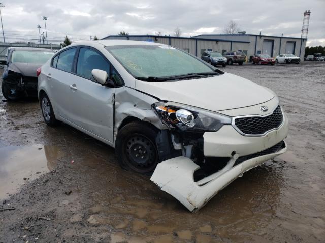 Kia Forte lx (2015)