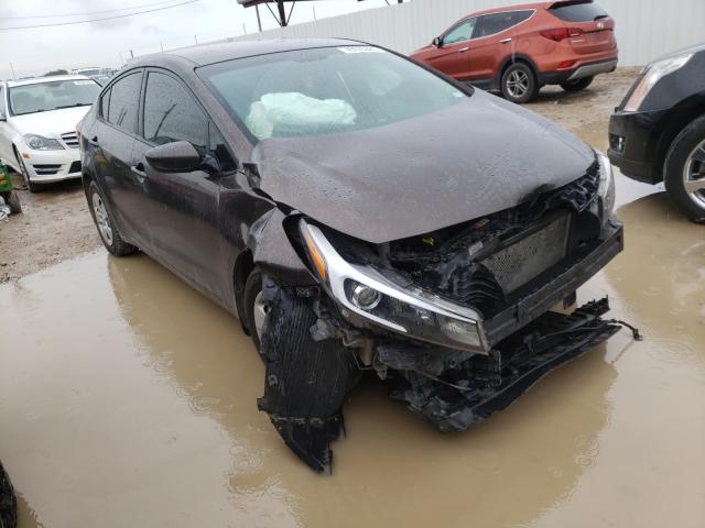Kia Forte lx (2017)