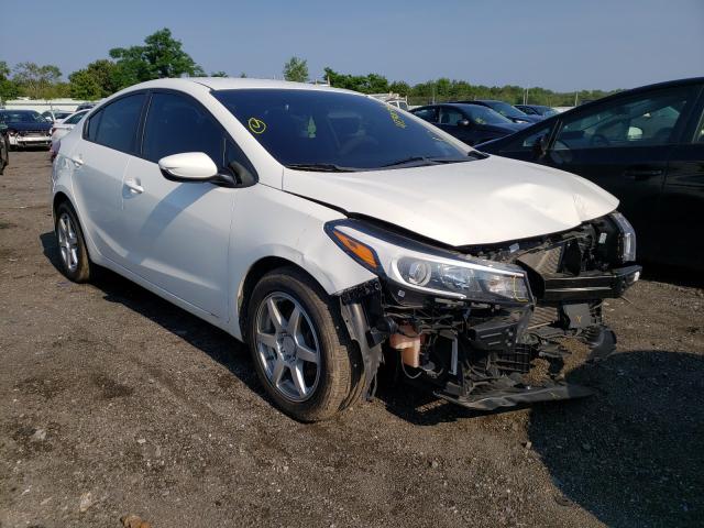 Kia Forte lx (2017)