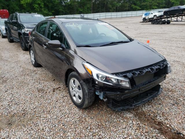 Kia Forte lx (2017)