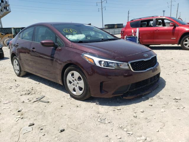 Kia Forte lx (2017)