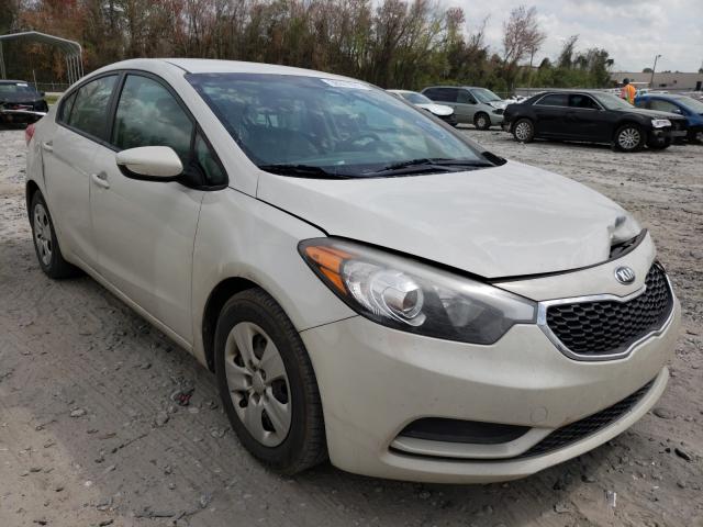 Kia Forte lx (2015)