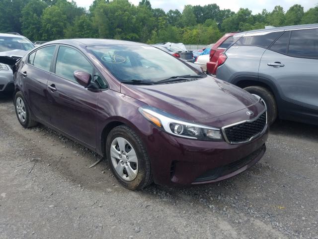 Kia Forte lx (2017)