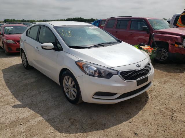 Kia Forte lx (2014)
