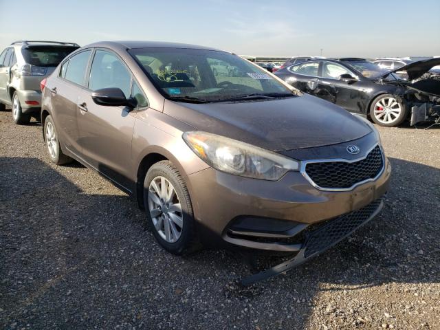 Kia Forte lx (2014)