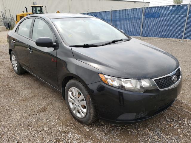 Kia Forte lx (2013)