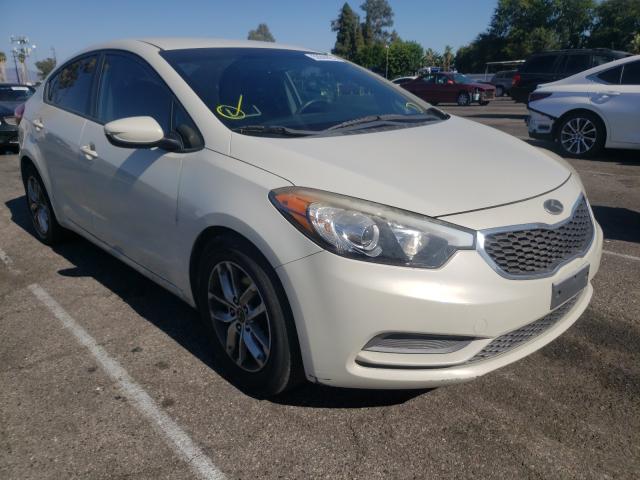 Kia Forte lx (2015)