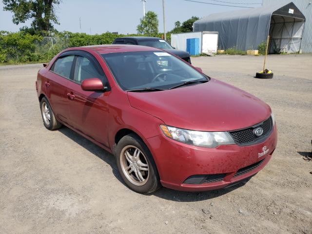 Kia Forte lx (2010)