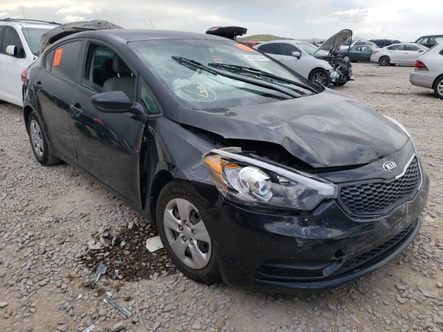Kia Forte lx (2015)
