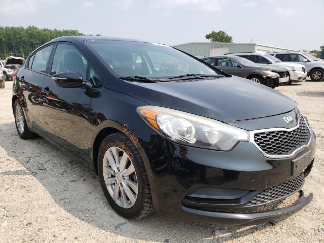 Kia Forte lx (2015)