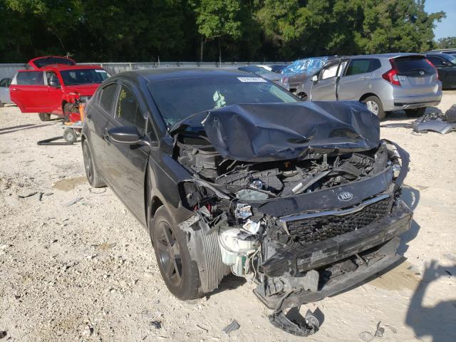 Kia Forte lx (2017)