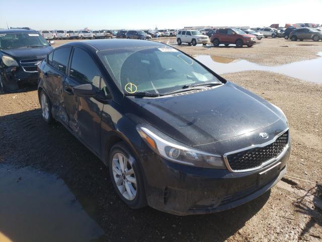 Kia Forte lx (2017)