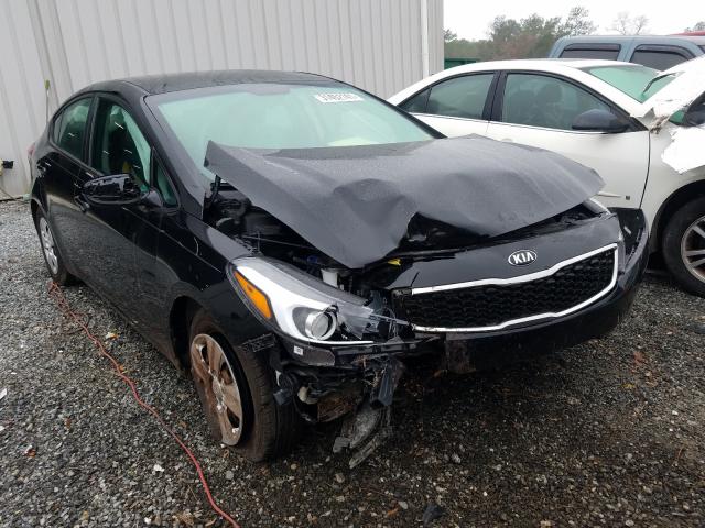 Kia Forte lx (2017)