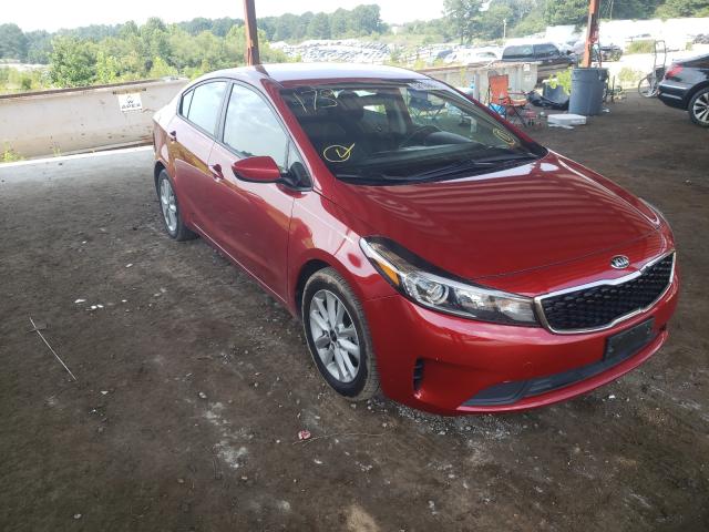 Kia Forte lx (2017)