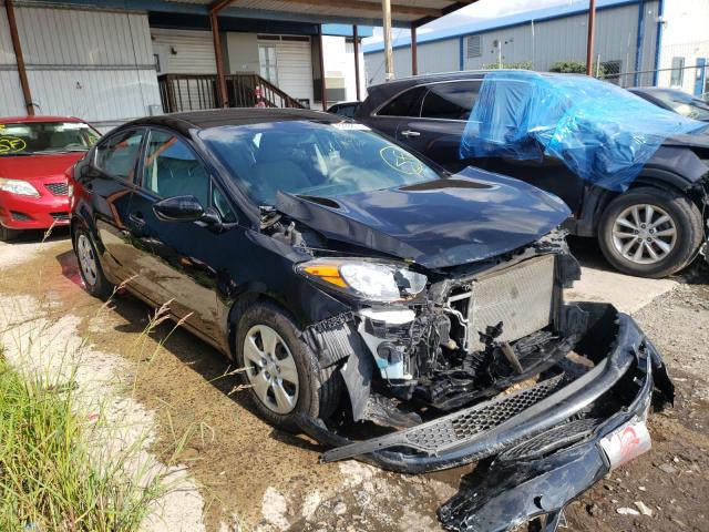 Kia Forte lx (2015)