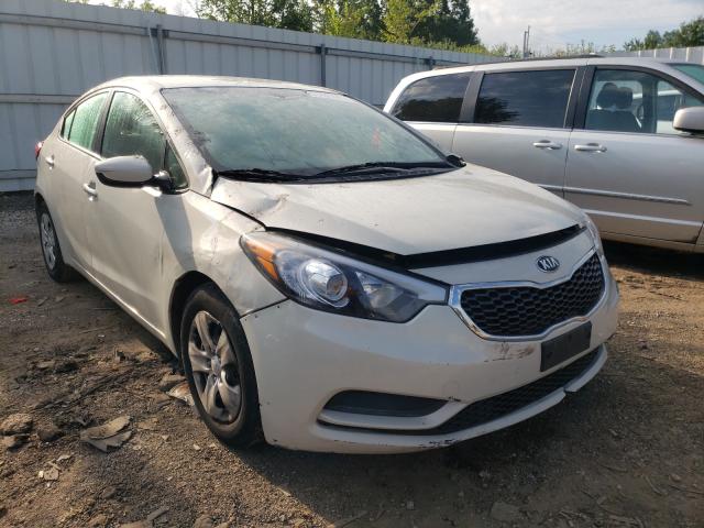 Kia Forte lx (2015)
