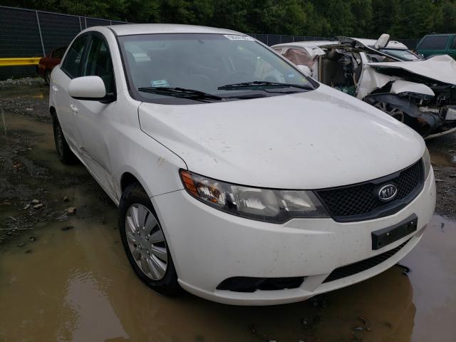 Kia Forte lx (2010)