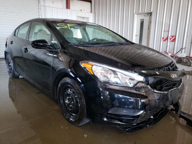 Kia Forte lx (2015)