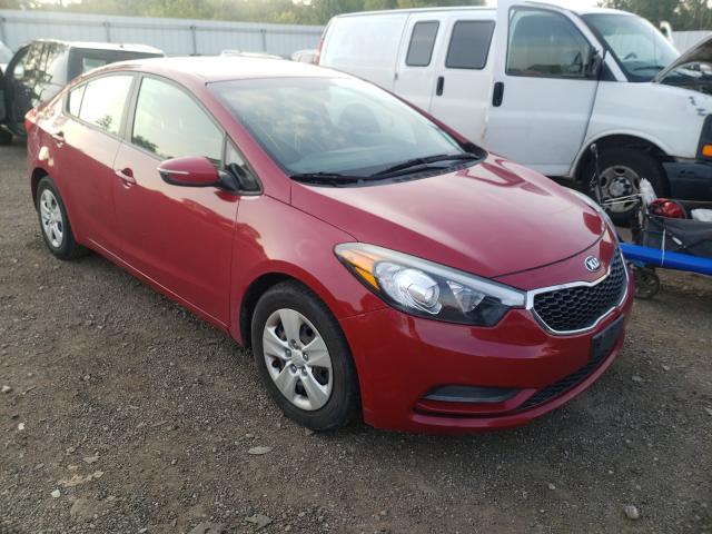 Kia Forte lx (2015)